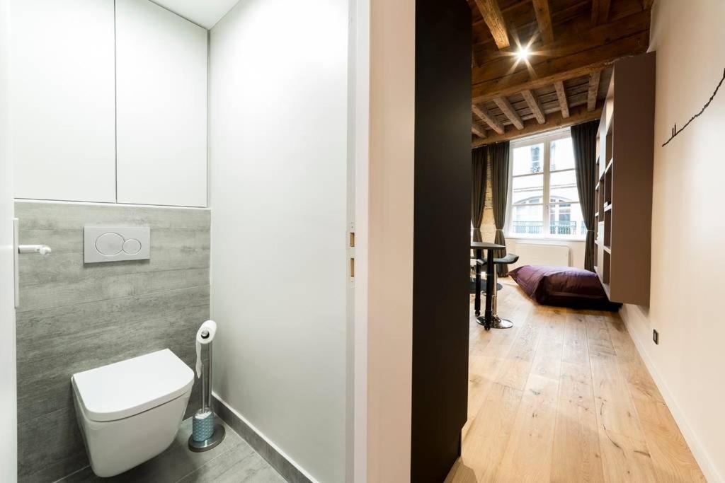 Beau Bijou Au Coeur Du Vieux Lyon Ail Daire Dış mekan fotoğraf